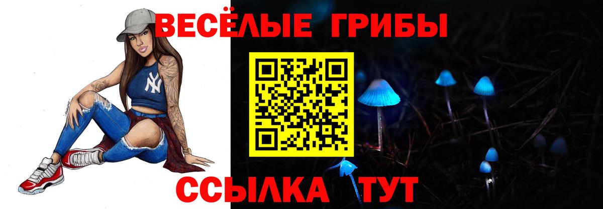 Галлюциногенные грибы прущие грибы Петрозаводск